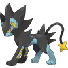 405 Luxray
