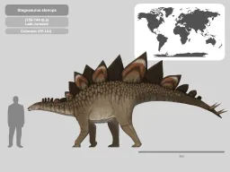 stegosaurus(stenops,sulcatus,ungulatus) stegosaurinae
