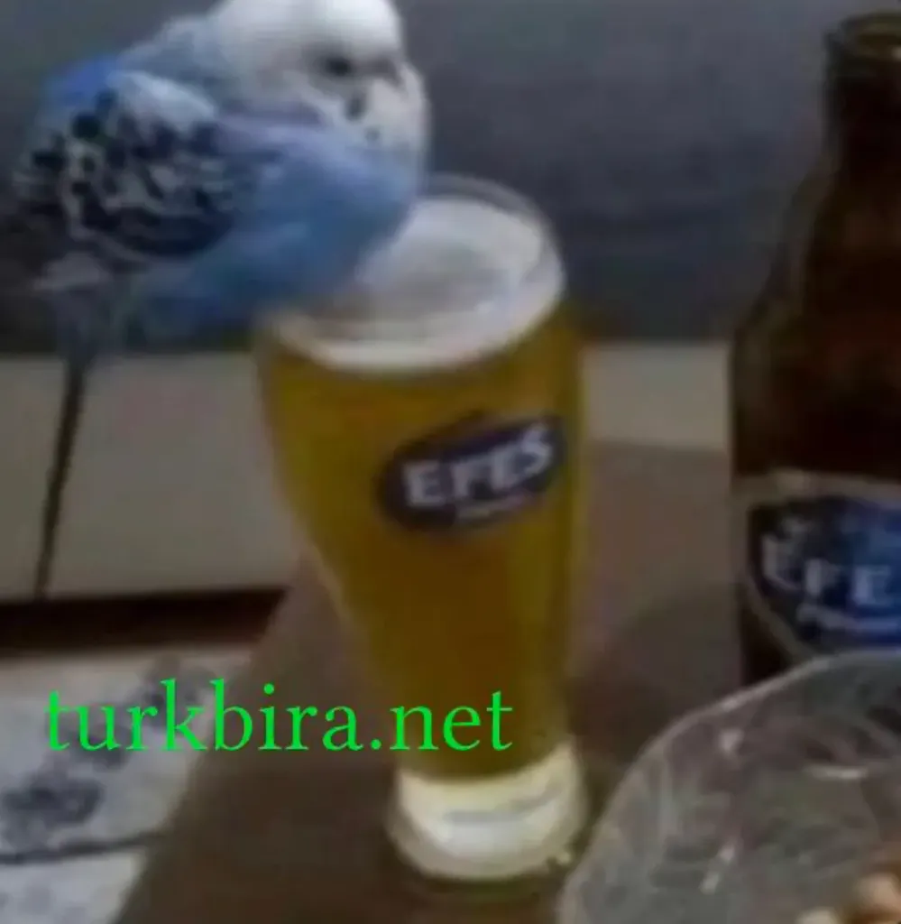 EN IYI KLASIK ERKEK OYUNCU