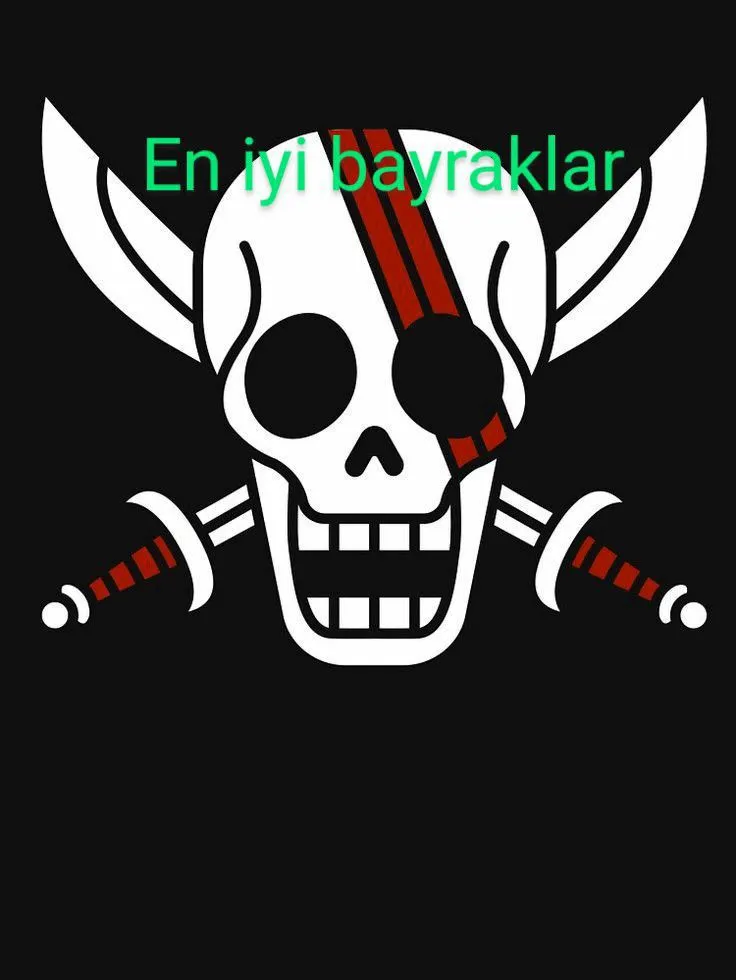 En iyi bayraklar one piece (moin)