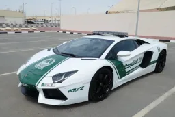 Birleşik Arap Emirlikleri Polis / Lamborghini Aventador