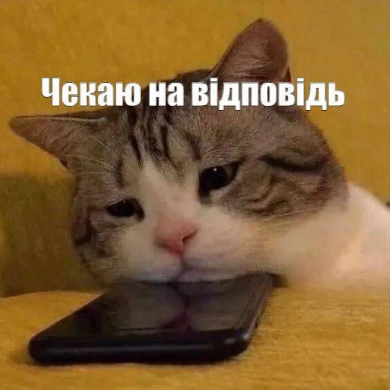 Найбільш життєвий мем про роботу