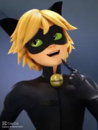 Kara kedi 
