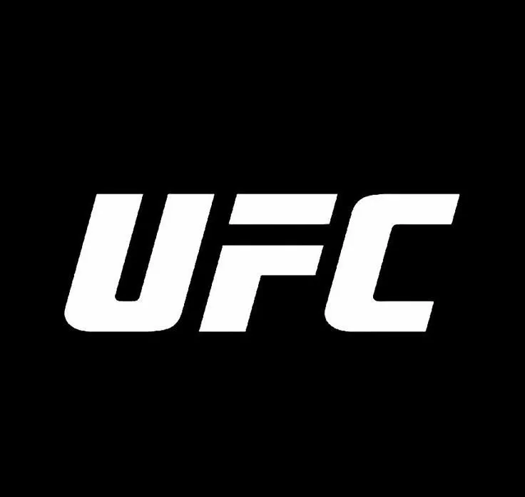 Hangi UFC dövüşçüsü