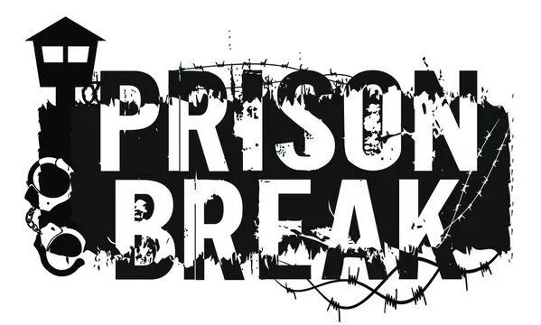 PRISON BREAK EN GÜZEL KADIN