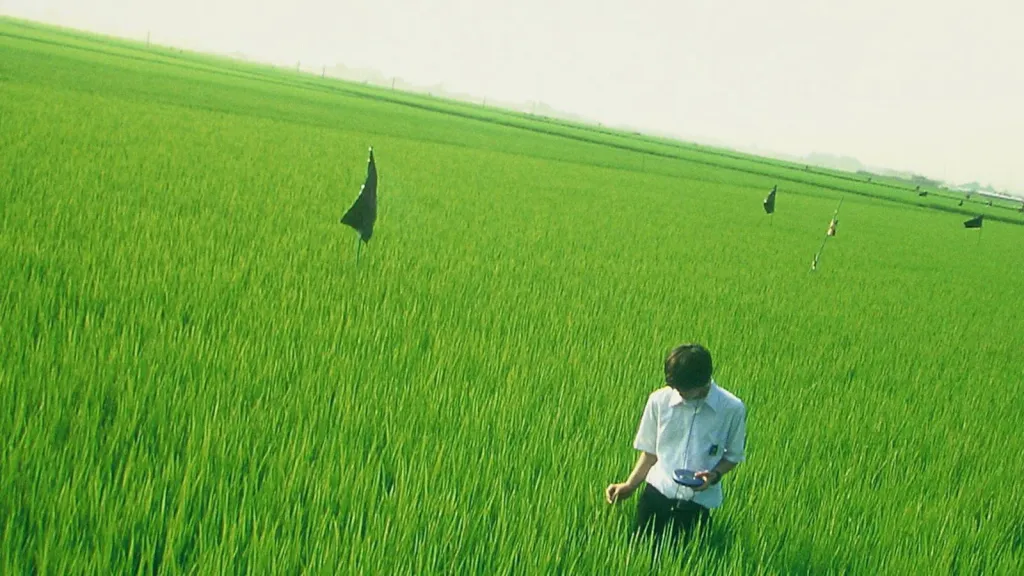 Miglior film asiatico di sempre