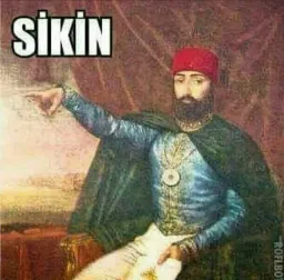🫡
