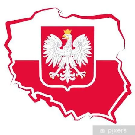 Polskie drużyny