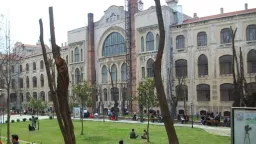 Baba Marmara Üni