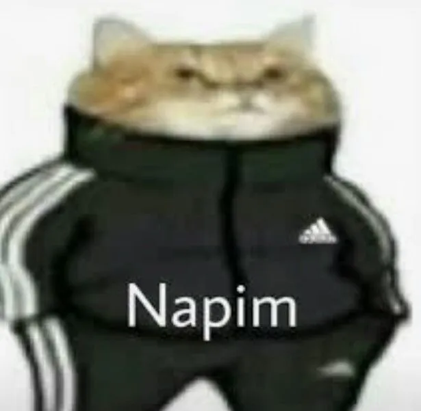 2021 en iyi memes(Türkçe-Yabancı karışık)