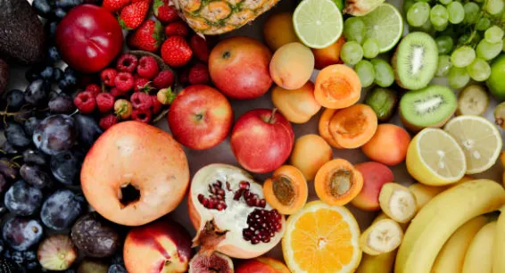 ZomZom's Fruit Tournament