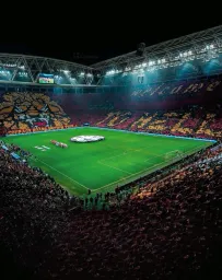 Galatasaray fans
