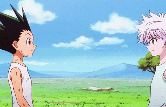 Hunter x Hunter Karakterleri