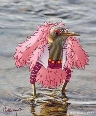 En komik one piece görserleri