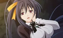 himejima-akeno-highschool-dxd-anime-girls-wallpaper-preview