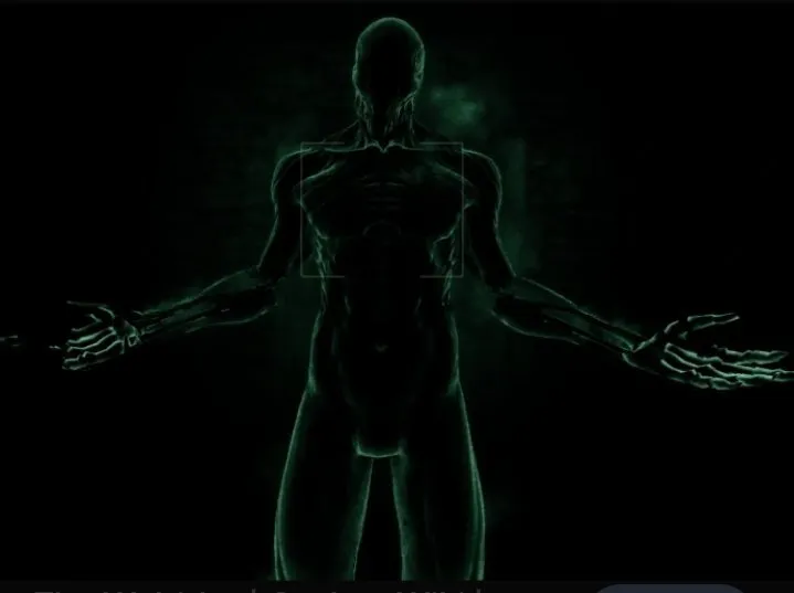 Best Outlast Character