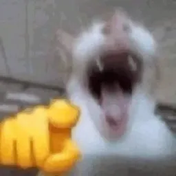 Nrbdhfbsbbdskjsbd