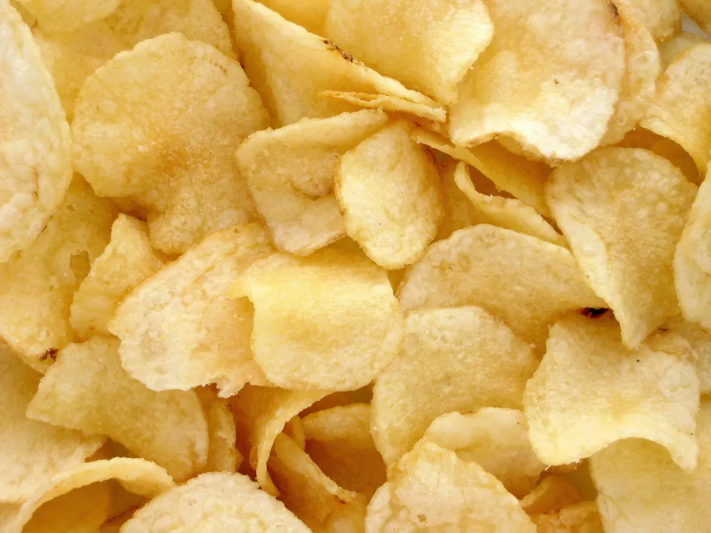 Mongol chipss