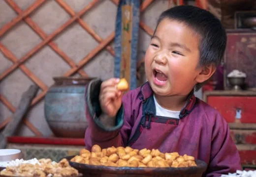 Mongol gaduur hoolni gazruud