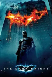 Batman : The dark knight 