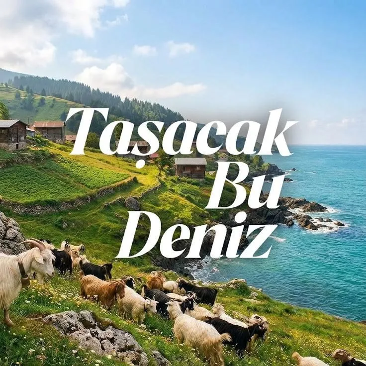 Taşacak Bu Deniz Karakter Sıralama