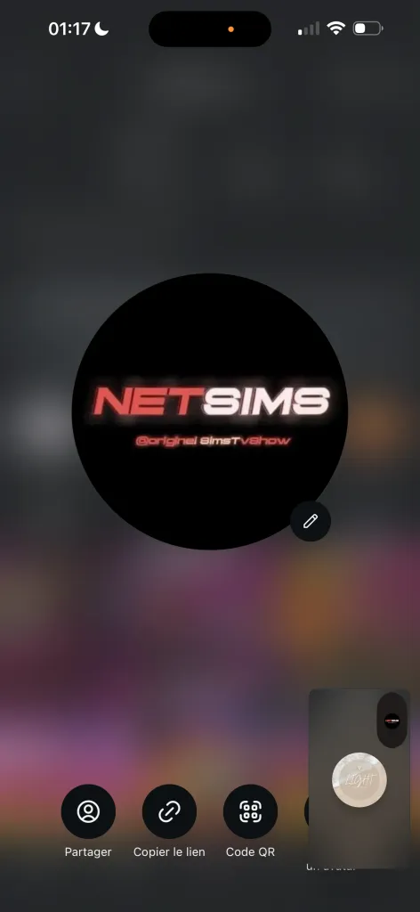 SPÉCIAL NETSIMS