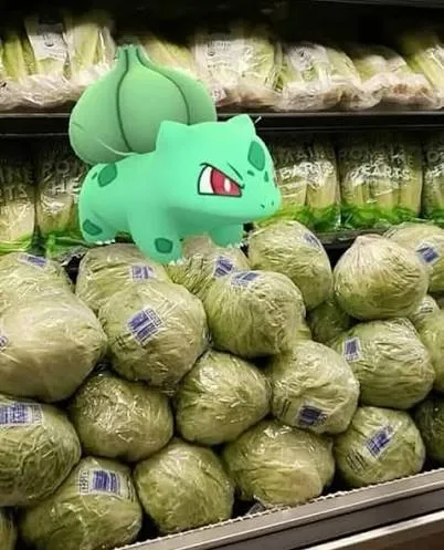 Pokémon Grass Types