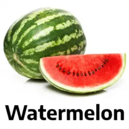 zz1569008512watermelon