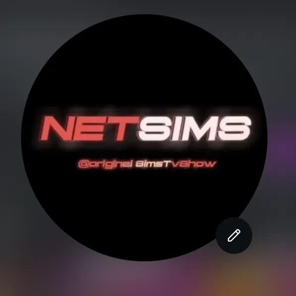 NETSIMS FANS
