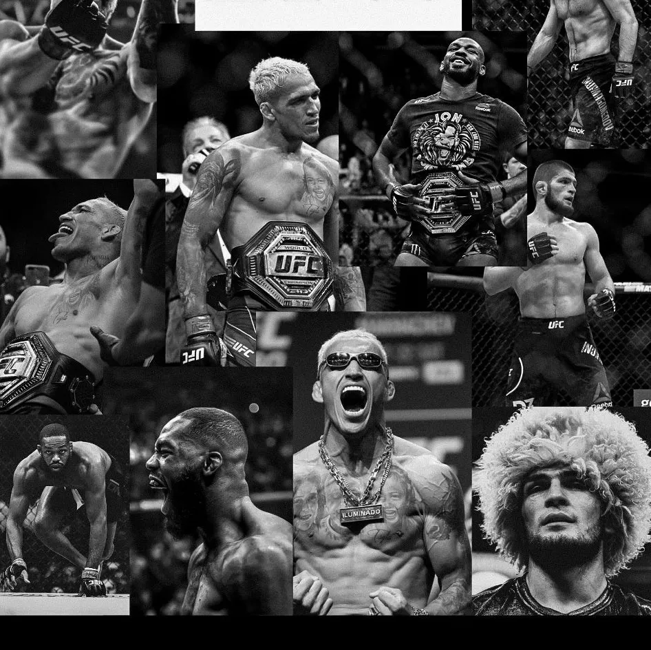 BEST UFC FIGHTERS