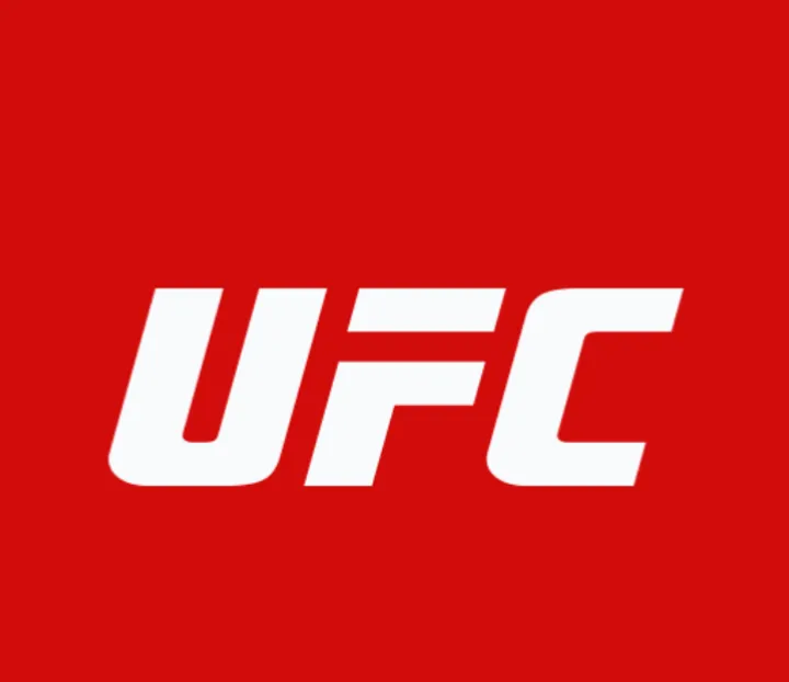 Dünyanın en iyi mma organizasyonu