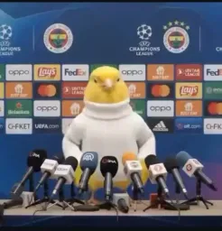 Binim