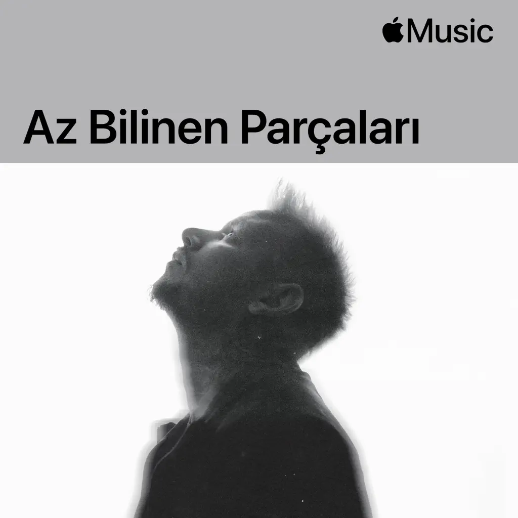 Şanışer: Az Bilinen Parçaları