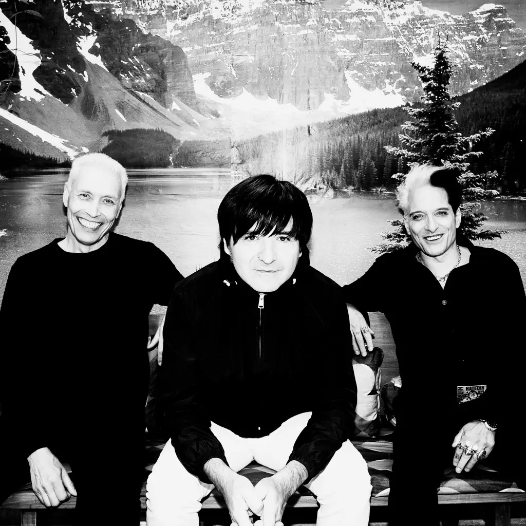 Die Ärzte