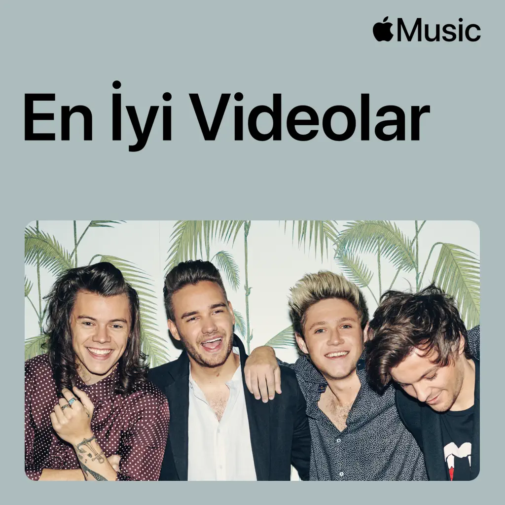 One Direction: En İyi Videolar