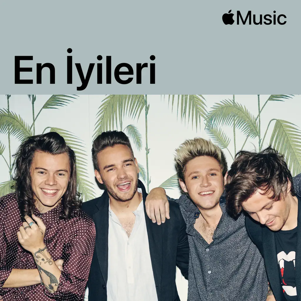 One Direction: En İyileri