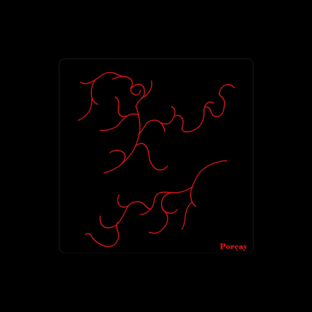 Porçay