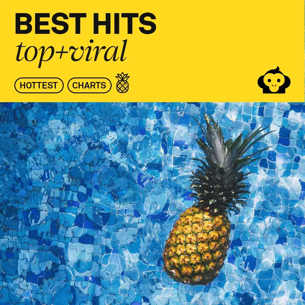 2025 HITS VIRAL / Best Songs 2024 & Top Charts 2025 / ๐