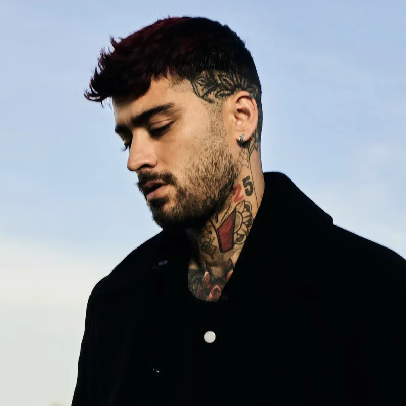 ZAYN