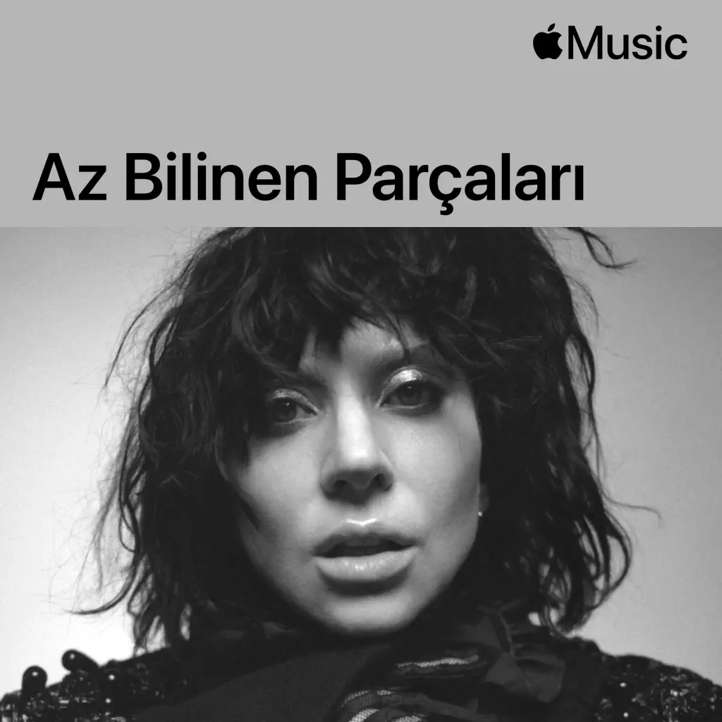 Lady Gaga: Az Bilinen Parçaları