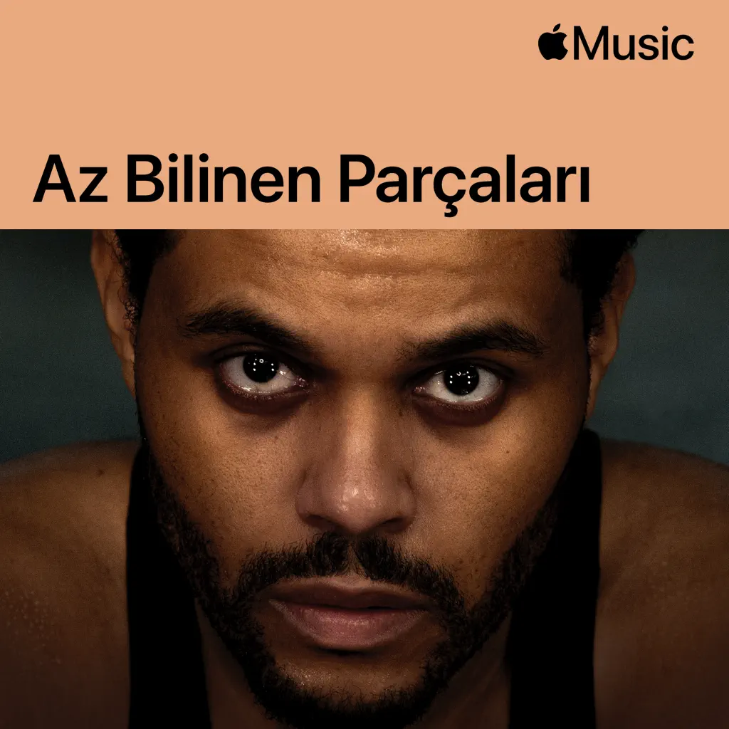 The Weeknd: Az Bilinen Parçaları