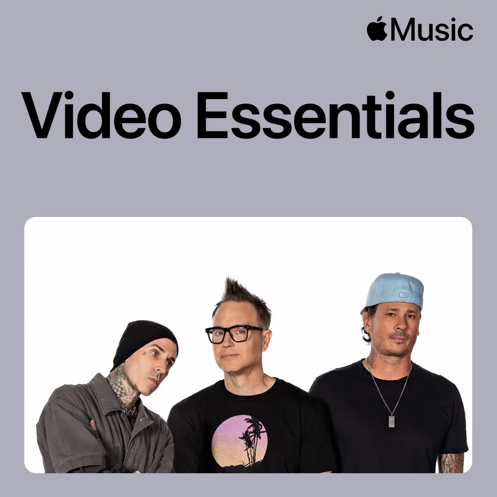 blink-182 Video Essentials