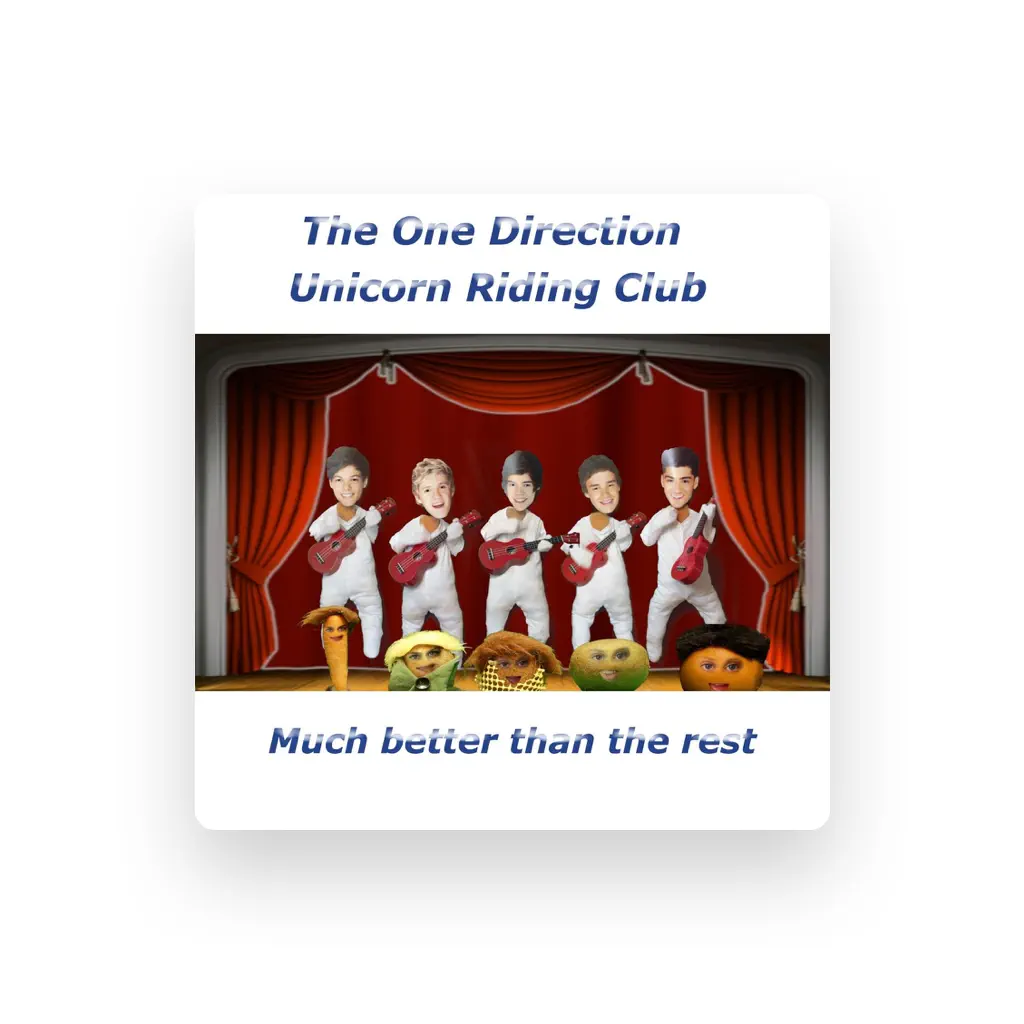 The One Direction Unicorn Riding Club