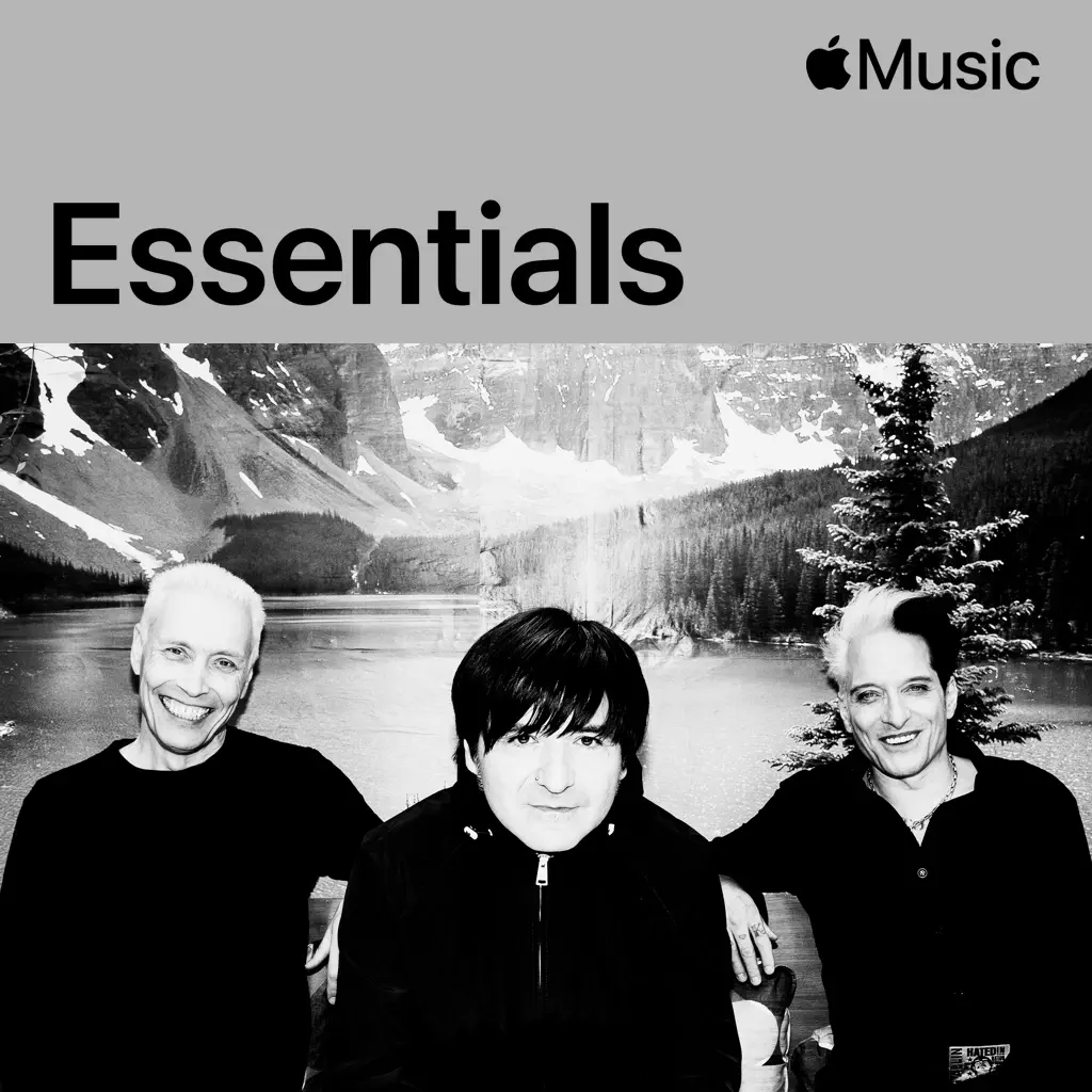 Die Ärzte Essentials
