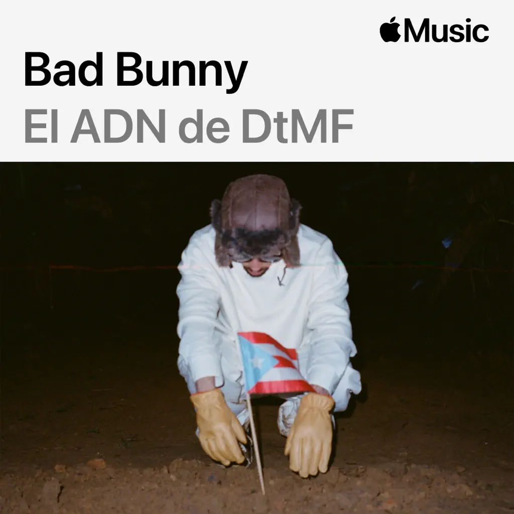 El ADN de DtMF