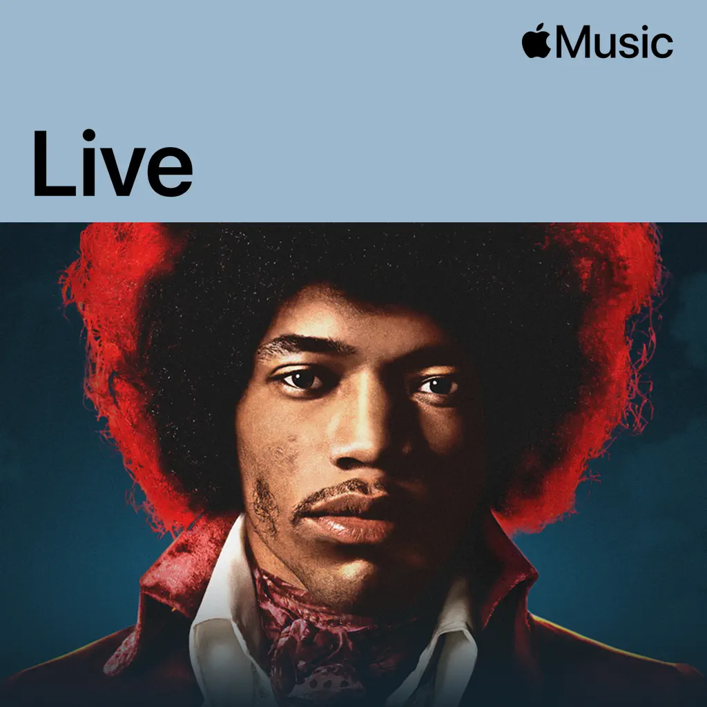 Jimi Hendrix dal vivo