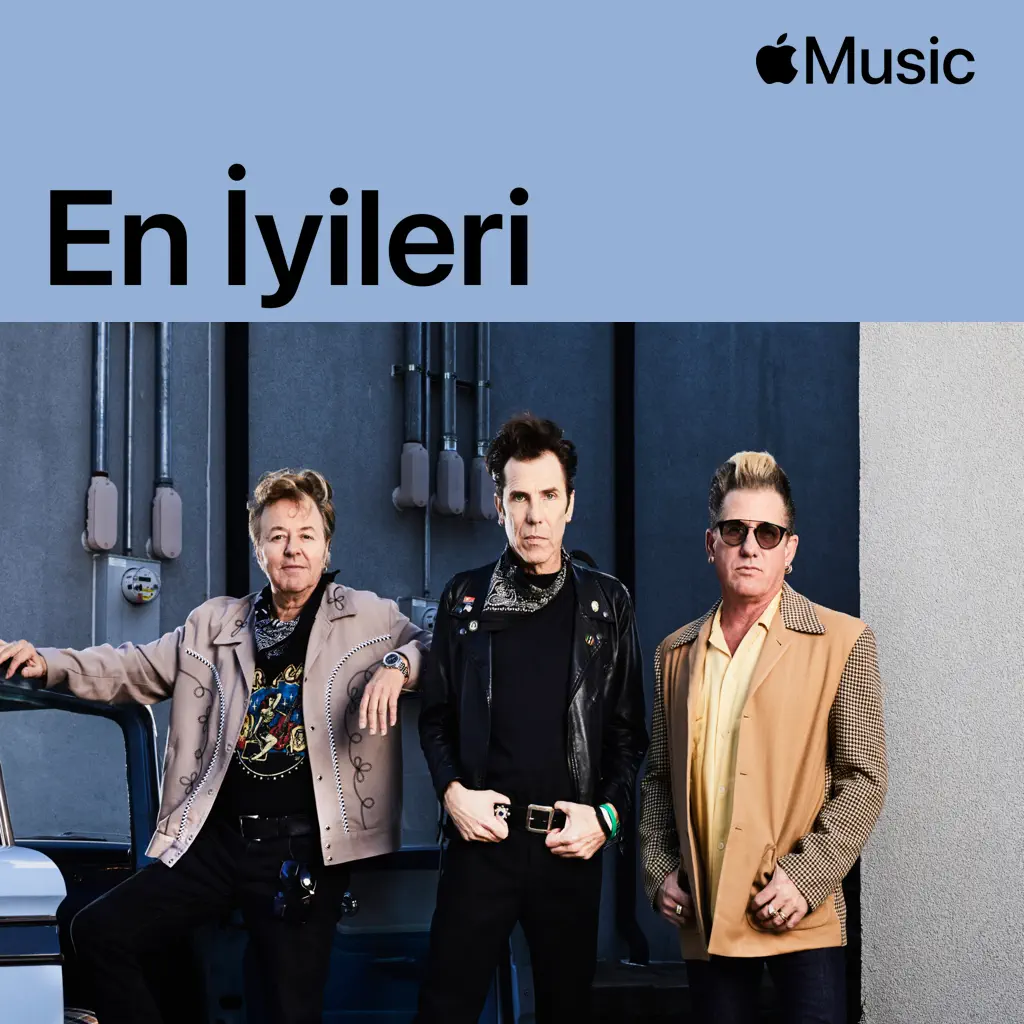 Stray Cats: En İyileri