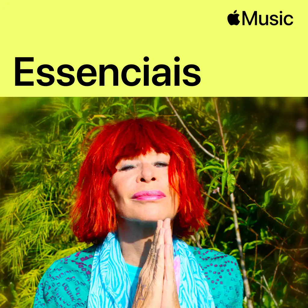 Rita Lee: essenciais