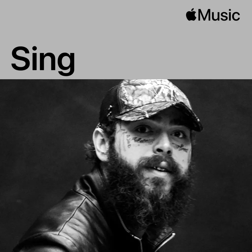 Post Malone: Sing