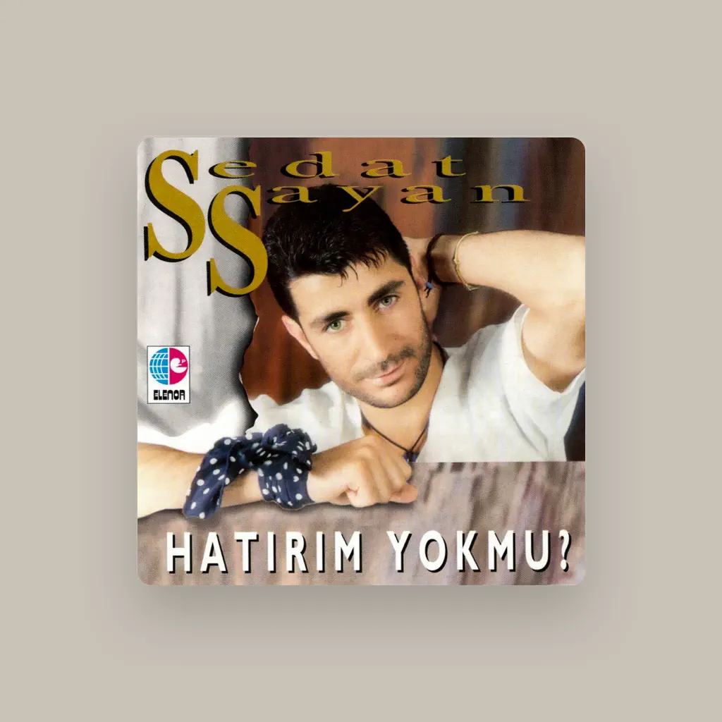 Sedat Sayan